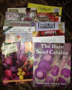 The Vegetable Seeds Have Arrived Image